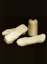 Fio de nylon